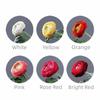 Plastic Material Artificial Flower 2 Head Design Realistic Texture Artificial Ranunculus Asiaticus Silk Fabric Faux Bloom