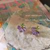 Women's Countryside Style Grape Earrings