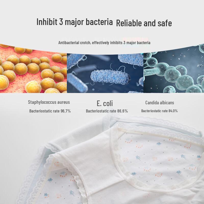 Cosmo Lady Women's Cotton 3-Pack Briefs