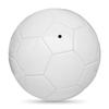 SHXI All White DIY Signature Painting Football