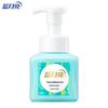 Blue Moon Antibacterial Foaming Hand Wash (Fresh Mint)