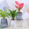 Mini Self Watering Flower Pot Fish Tank Transparent Plastic Plant Pots Self Watering Planter Pot Vase For Home Decoration
