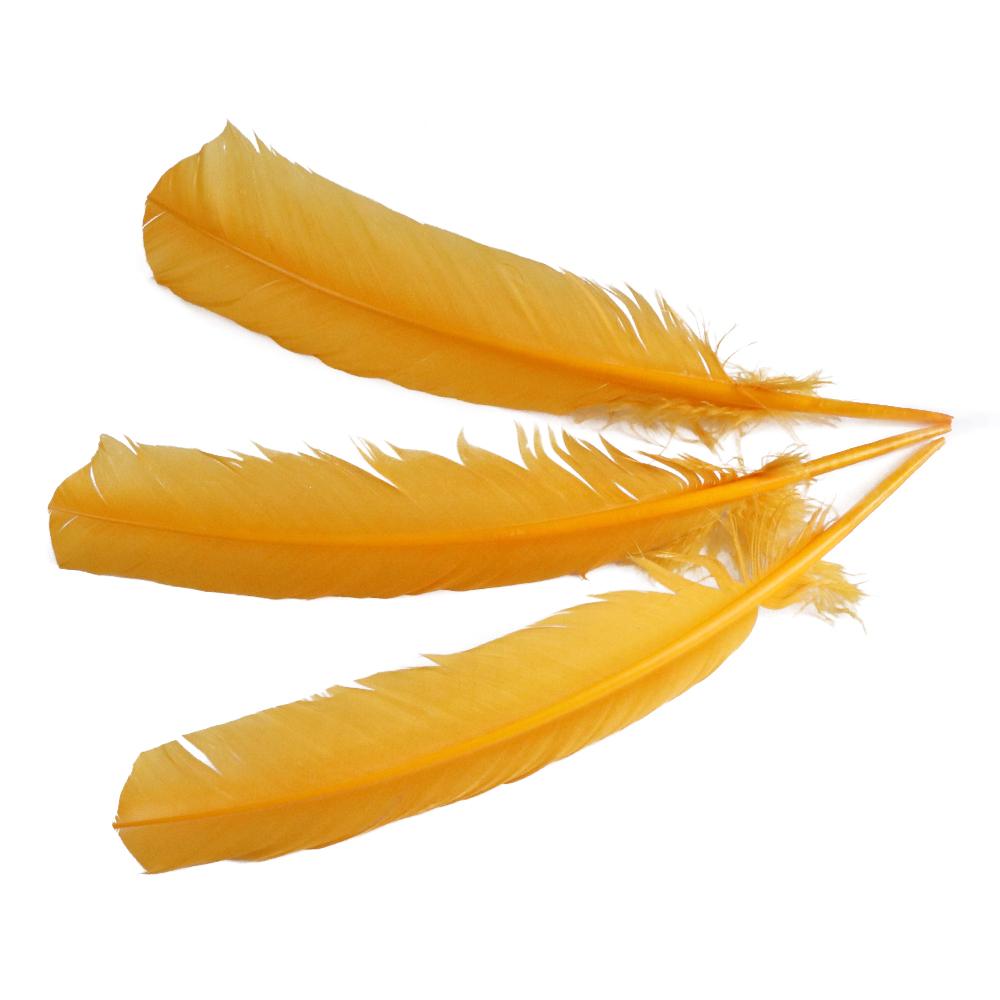 

Multicolour Goose Plumes, Turkey Pointers, Quill Large Feathers for Crafts Jewelry Making Costume 25-35CM Plumas Decorativas 20 pcs золотистый