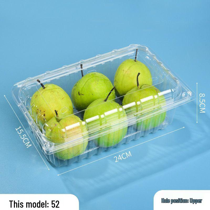 Clear Plastic Disposable Fruit Box with Lid for Strawberries