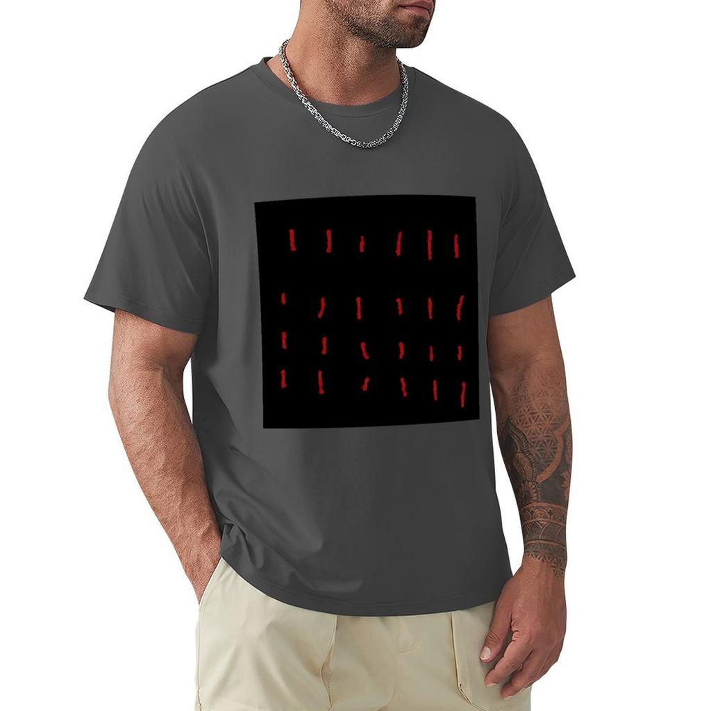 Strokes of Incarceration Album Artwork T-Shirt anime t shirts plus sizes street wear graphic t shirts graphic shirts men