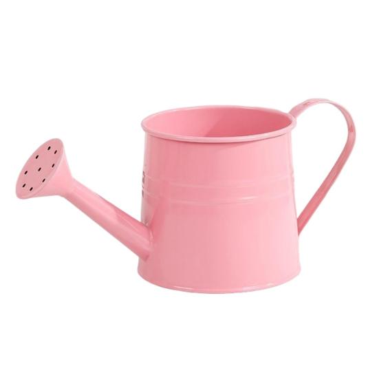 Metallvannkanne for Innendørsplanter Vannkanne med Bred Åpning Rustikk Blomsterarrangementsvase med Håndtak for Balkong Kontor Stue