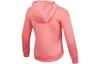 Nike Kids Sweatshirts Hooded Moderate DC7118-603