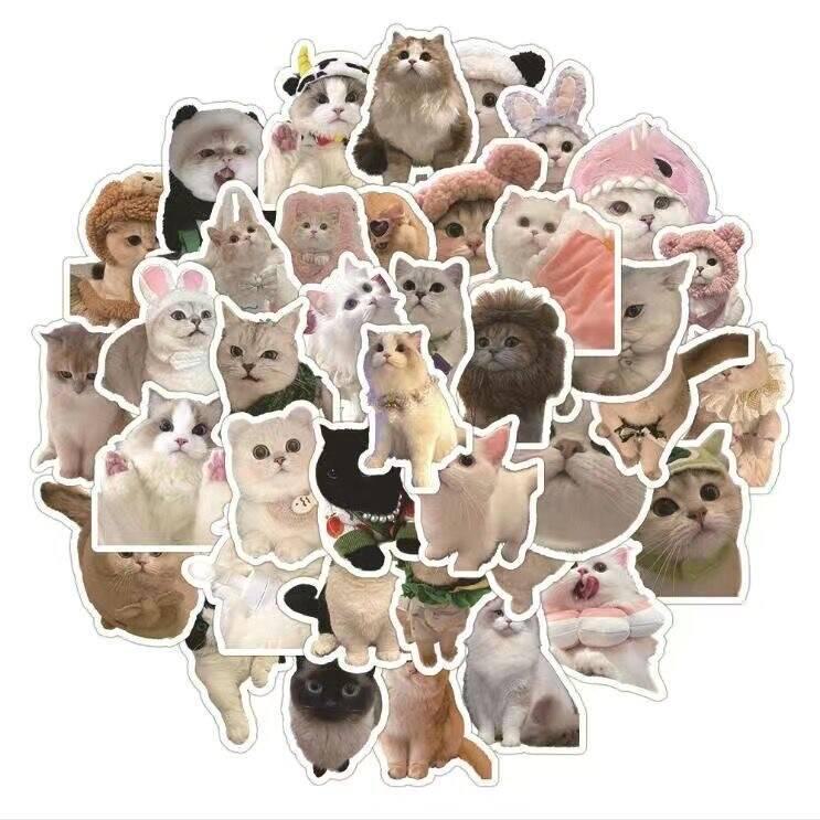 

60Pcs Internet Celebrity Cat Stickers: Cute Funny Expressions for Notebooks and Decor