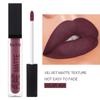 Batom de veludo ricamente pigmentado, fórmula hidratante, brilho labial, não desbota, esmalte labial duradouro, maquiagem labial, presente para mulheres