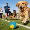 Dog Herding Ball Interactive Bouncing Toy 20.5x13x13cm Inflatable Herding Ball For Outdoor Pool Stress Tension Boredom