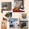 Flap Cats Door Pet Door Controllable Access Way Small Dogs Flap Door Dog Kitten House Security Door for Wall Pet Door