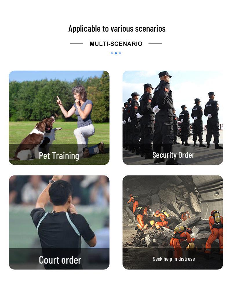 Professional High-Frequency Referee Whistle for Volleyball, Basketball, and Football Matches