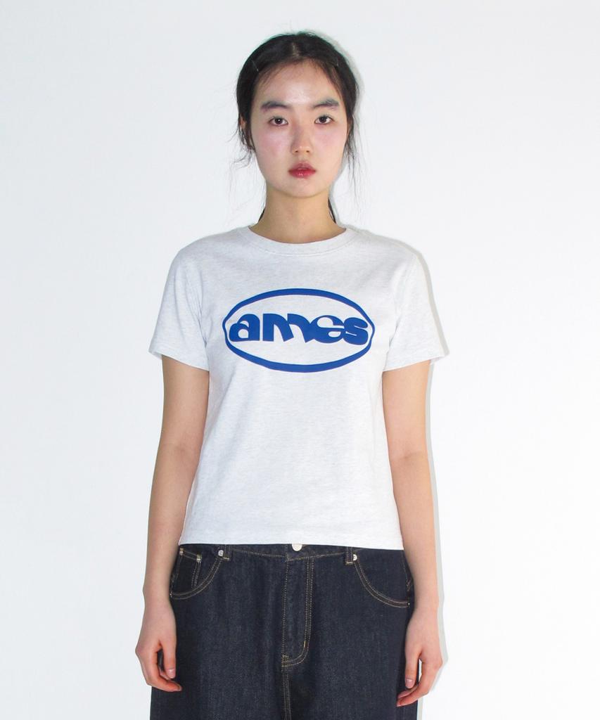 AMES-WORLDWIDE Ames Circle Logo Symbol Tee Light Gray