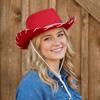 Wide Brim Western Cowboy Hat Felt Top Hat Casual Jazz Hat  Costume Accessories