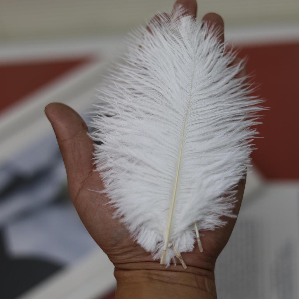 White Ostrich Feathers 15-80cm for Lighting, Wedding Aisle Decor, Photo Props, and Vase Ornaments