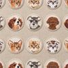 5pcs Iron On Dog Clothing Patch Clothes Stickers Clothes Appliques Cat Embroidered Patch  Sewing