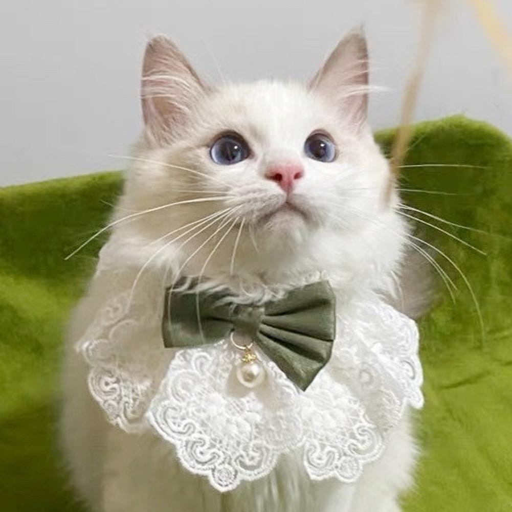 Lace Bowknot Pearl Collar Cat Dog Neckerchief Pet Cats Kitten Dog Puppy String Bib Necklace Necktie Neck Strap Scarf Accessories