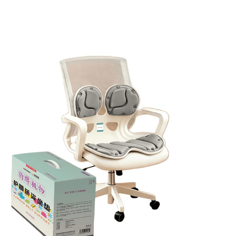 

BAOPAI Ergonomic Lumbar Support Cushion CN plug (adapter included)