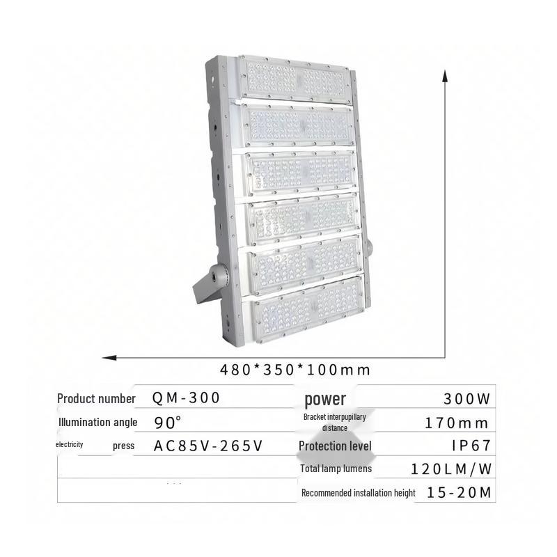 OEING LED Module Outdoor Flood Light