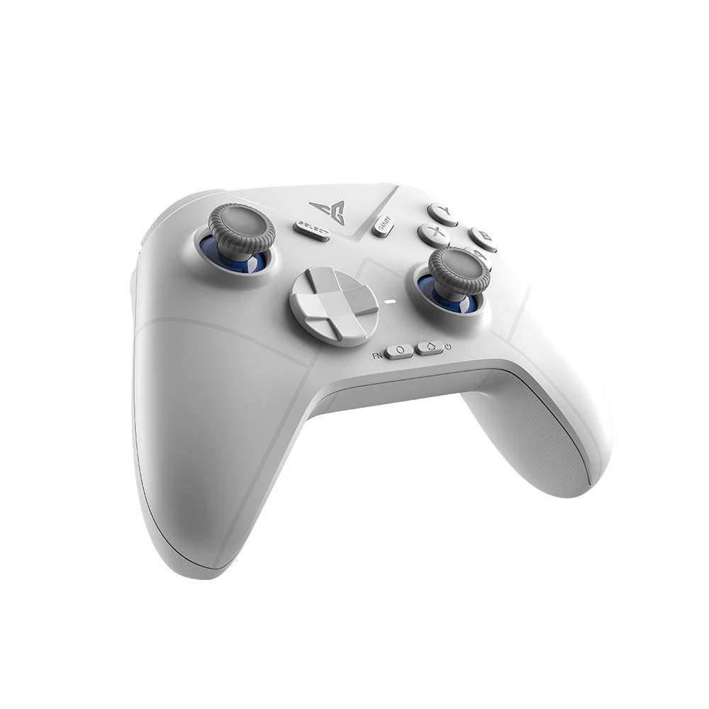 FLYDIGI Wireless Controller for Nintendo and Windows PC Japanese "DIRE WOLF3" Switch™ [Official Distributor]