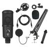 Acessórios para áudio e vídeo – Microfones