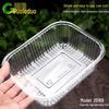 Disposable Clear Rectangular Plastic Fruit Container
