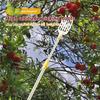 Picking Loquat Picking Bayberry Tool Garden Basket Fruit Picker Head Plastic Fruit Picking Tool High-altitude Fruit Picker