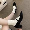 Gray Fluffy Shoes Women Wear New Winter French Fairy Fleece Single Shoes Thick Heel Mary Jane High Heels