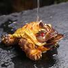 Color-Changing Ceramic Golden Toad Tea Pet