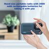 CHOYONG A8W Portable Internet Radio Single Band Radio 4G&Wi-Fi Multi-Scene Connection Speaker Voice Custom Control Radios Gifts