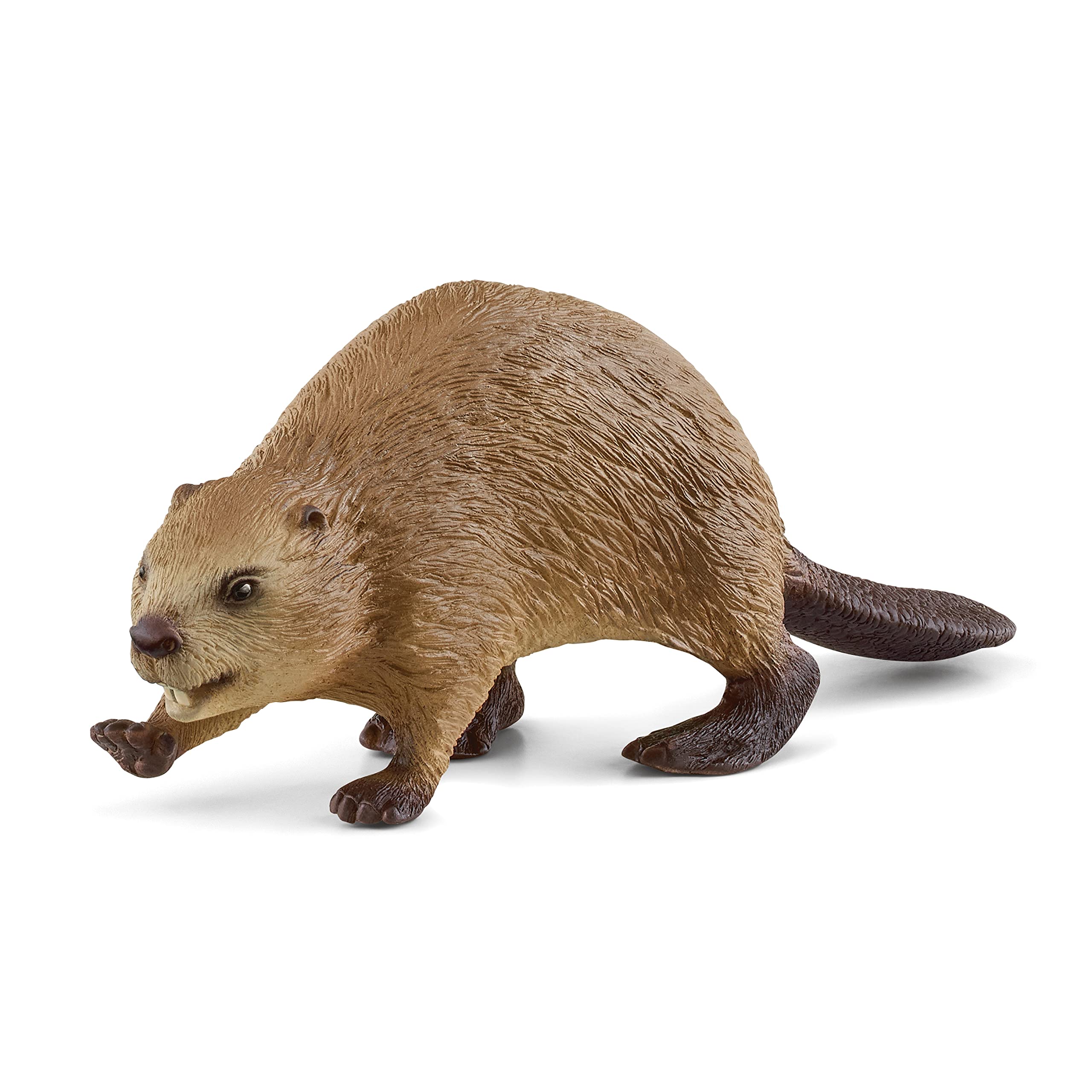 

Schleich Wildlife Beaver 14855
