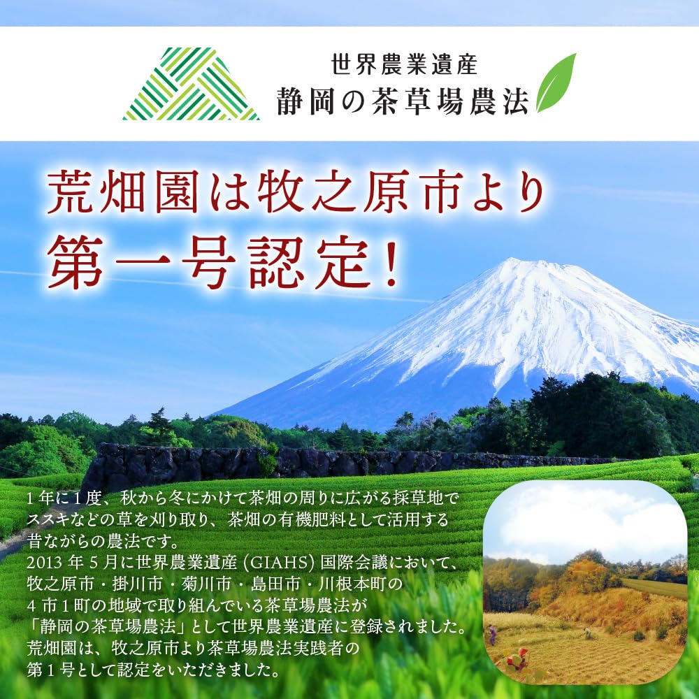 Arahataen "Daichi no Uta" (Poem of the Earth) "Nozomi" (Gin-in) Tea Bags, 2g x 30 bags, Cold Brew, Hot, Premium Green Tea, Shizuoka Deep-Steamed Tea,