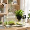 Aquarium Pflanzgefäß Aquarienpflanzen Halter Oben Hängender Grünpflanzen Halter Korb mit Schraubklemme für Anubias Wasserpflanzen Zubehör