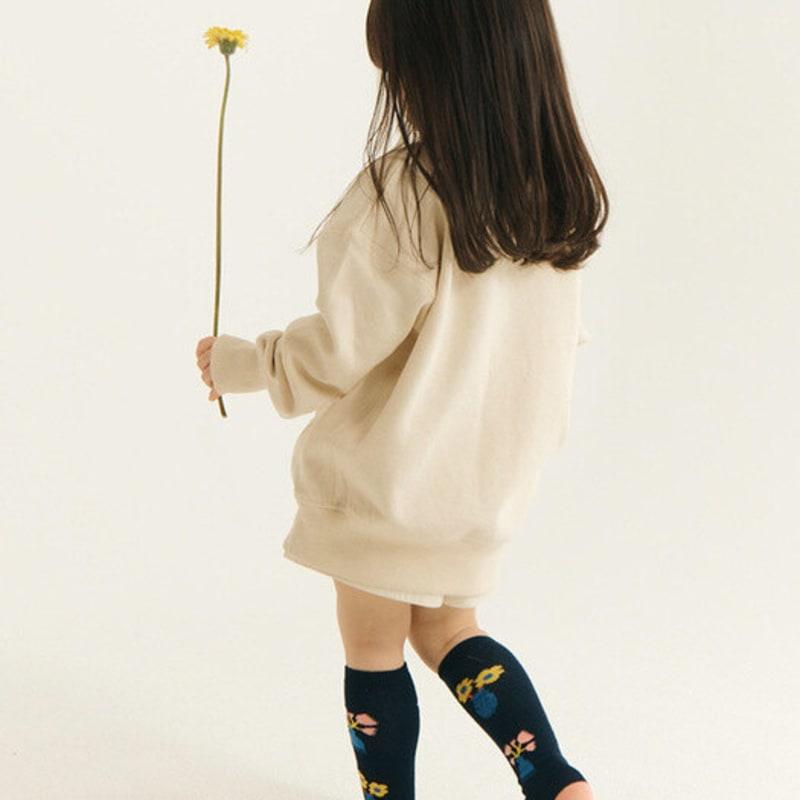 PINZLE [PINZLE X IHM] Șosete de familie - Plantă de casă (Navy)