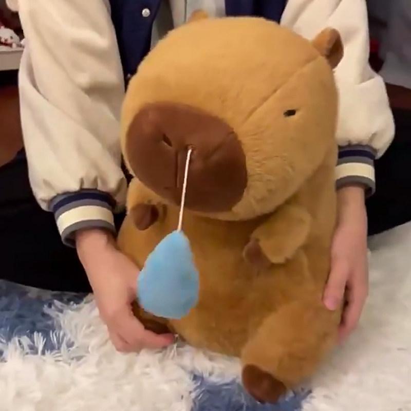 Capybara Sleepy Plush Hug Pillow - Birthday Gift for Girlfriend