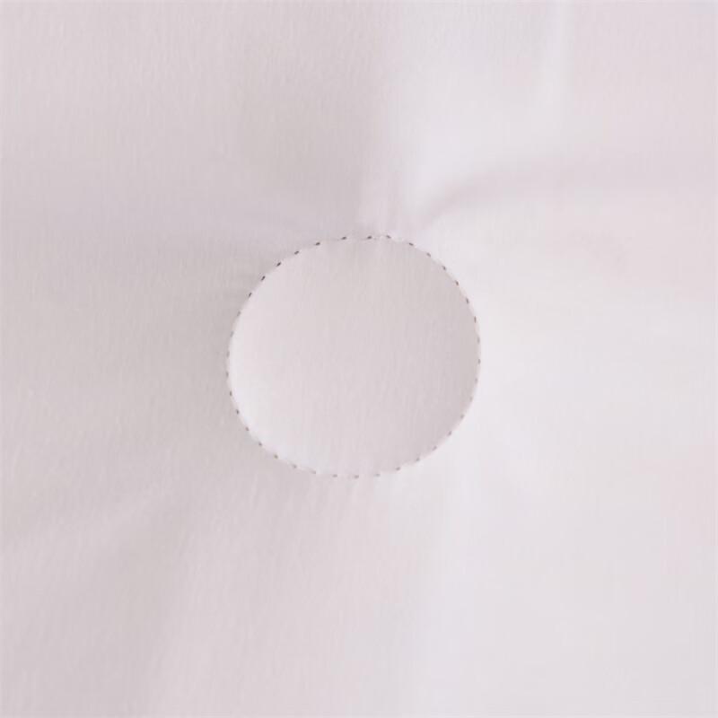 Manya Ju Warm Winter Comforter