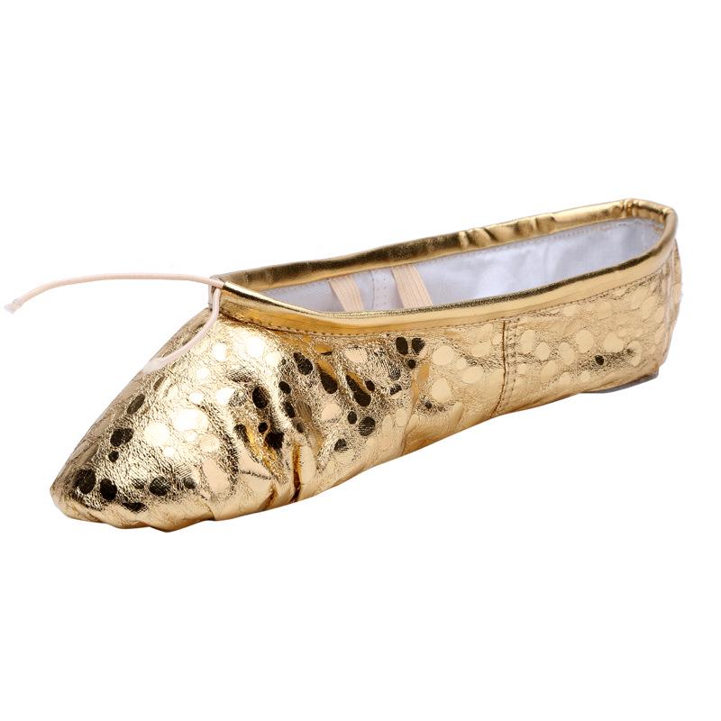 Women's Soft Sole Ballet & Dance Shoes - Gold/Silver, Cat Paw Design