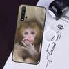 Cute Baby Monkey Animal Case For Huawei Nova 3i 7i 11i 11 Pro 10 9 SE 5T Y60 Y61 Y70 Y90 Y91 P20 P30 P40 Lite Cover
