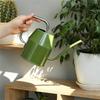 Lightweight Aluminum Watering Can Irrigation Device with Extended Spout for Gentle Watering in Gardens Home and Office Spaces