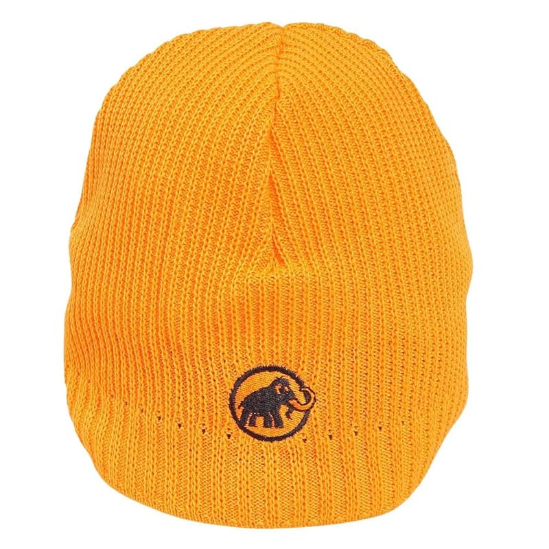 

[Mammut] возвышенная шапочка/Возвышенная шапочка 1191-01542