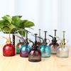 European Colorful Embossed Glass Watering Can Home Gardening Watering Sprinkler Kettle Succulent Plant Spray Can Gardening Decor