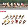 12Pcs Simulation Bird Miniature Decoration Diy Crafts Foam Feather Artificial Fake Birds Models For Home Garden Prop Decor