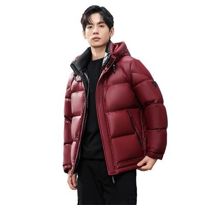 Hiver Nouveau Doudoune à Capuche Homme Épaissie Courte Jeune Doudoune Arctique Doudoune d'Extérieur