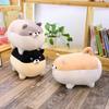For Youngsters Tot Kids 30Cm Lovely Chubby Shiba Inu Puppy Plushy Item Padded Huggable Corgi Chai Doggy Cartoonish Cushion Cute Surprise