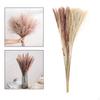 10/ Natural Grass Decor Boho Fried for Dried Decorations Pompous Reed
