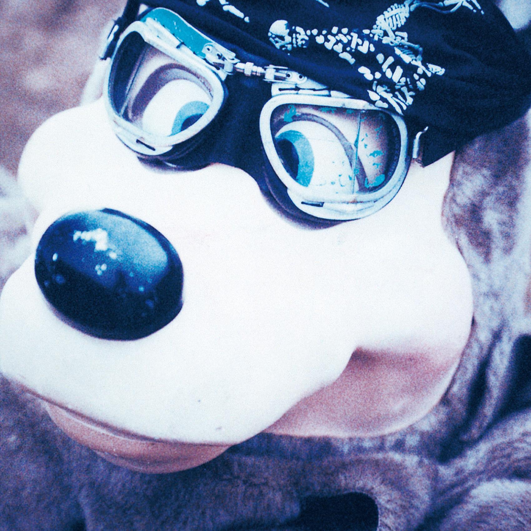 

LP Record BLANKEY JET CITY - C.B.Jim UPJY94467 UNIVERSAL MUSIC 2024 Japan Japanese Pop/Rock