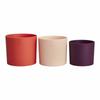 Plant Pot