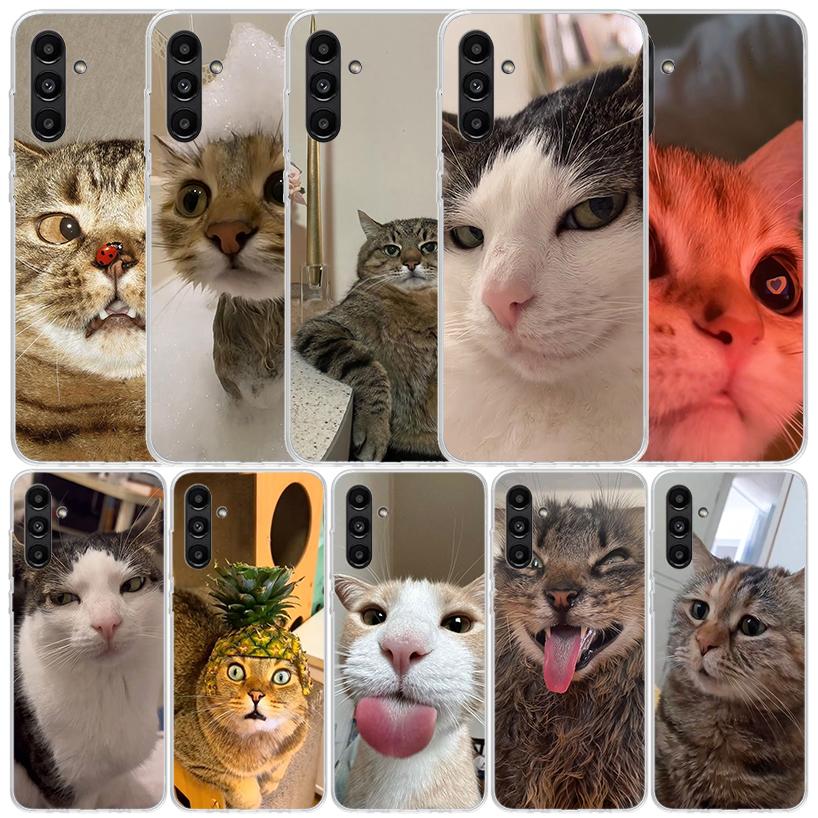Pet Cat Funny Memes Cover for Samsung Galaxy A17 A37 A57 A16 A26 A36 A56 A15 A14 A55 Phone Case A13 A53 A25 A35 A24 A34 A23 A33