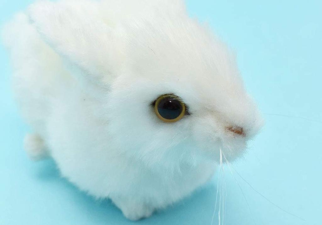 BH5823 HANSA Rabbit 16