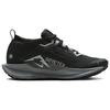 Nike Pegasus Trail 5 GORE‑TEX (Women’s) FQ0912‑001